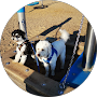 Google Rezension Gruppentraining